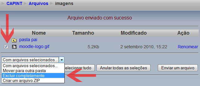 Excluindo um Arquivo do Moodle 